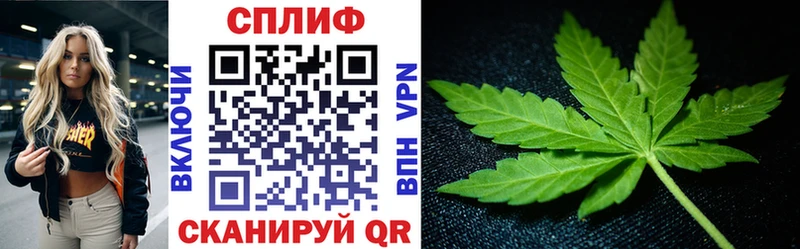 Купить наркотики Асино Метадон  Конопля  Галлюциногенные грибы  Мефедрон  ГАШ 