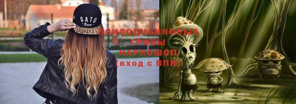 МДПВ Снежинск