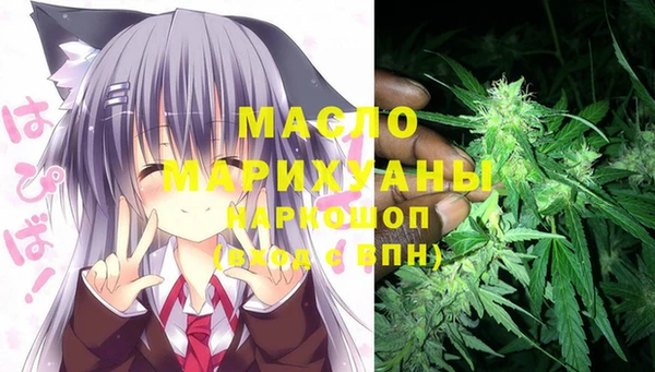 МДПВ Снежинск