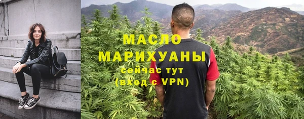 шишки Слюдянка