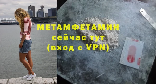 шишки Слюдянка