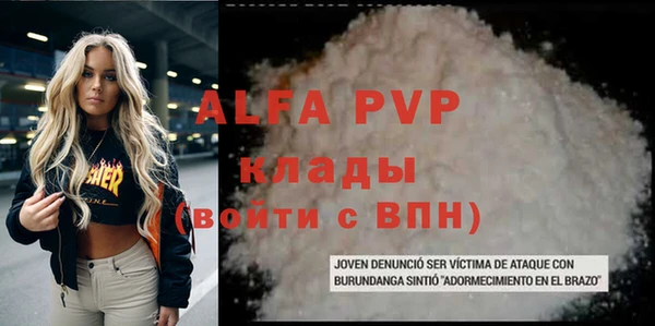 шишки Слюдянка