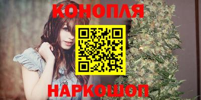 сатива Балаково