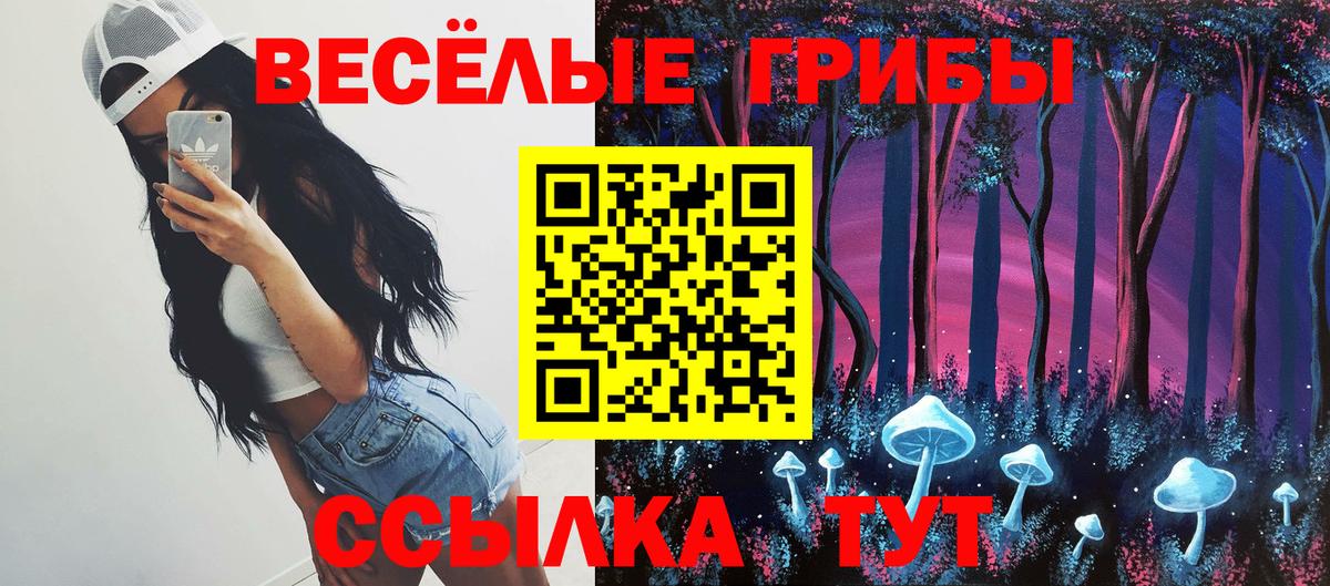 Галлюциногенные грибы Cubensis Асино