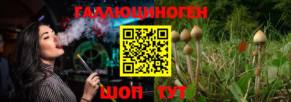 Галлюциногенные грибы Magic Shrooms  Вход с VPN  Псилоцибиновые грибы Cubensis  Асино 